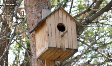 Community Support in Action