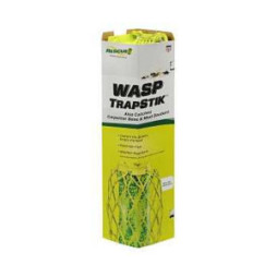 Wasp Trap