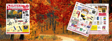 Illuminate Your Autumn!