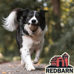 Redbarn's Tail-Wagging Sample Event!