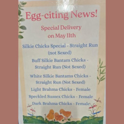 Egg-citing News!