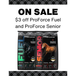 October ProForce Sale