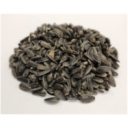 Black Oil Sunflower Seed 50lb