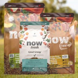 Petcurean Now Fresh and Go! Solutions Dog And Cat Kibble Sale
