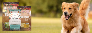 Petcurean Now Fresh and Go! Solutions Dog And Cat Kibble Sale: