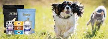 Fromm Pet Food Sale – June Only!