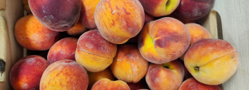 Summer 2025 Peach Season is Here!