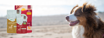 Nature’s Logic Dog Food Sale!