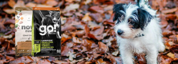 November Petcurean Savings!