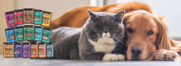 Great News for Pet Lovers!