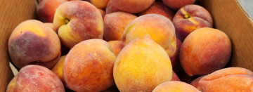 South Carolina Peaches Are Here!!