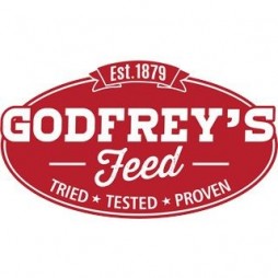 Godfrey's Rescue
