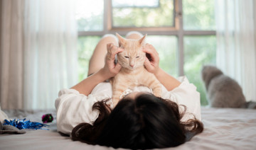 ﻿Purr-fectly Happy Cats: Tips to Keep Your Feline Friends Content