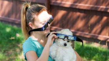 Pets Safety During The 2024 Solar Eclipse