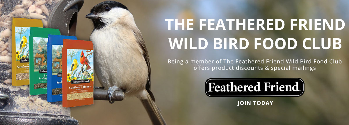 Agway Feathered Friend Wild Bird Food club intro banner